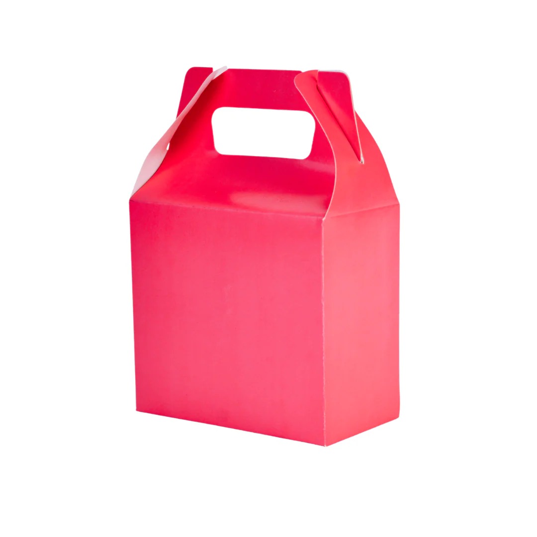 CAJA LONCHERA FIUSHA GOSTECH